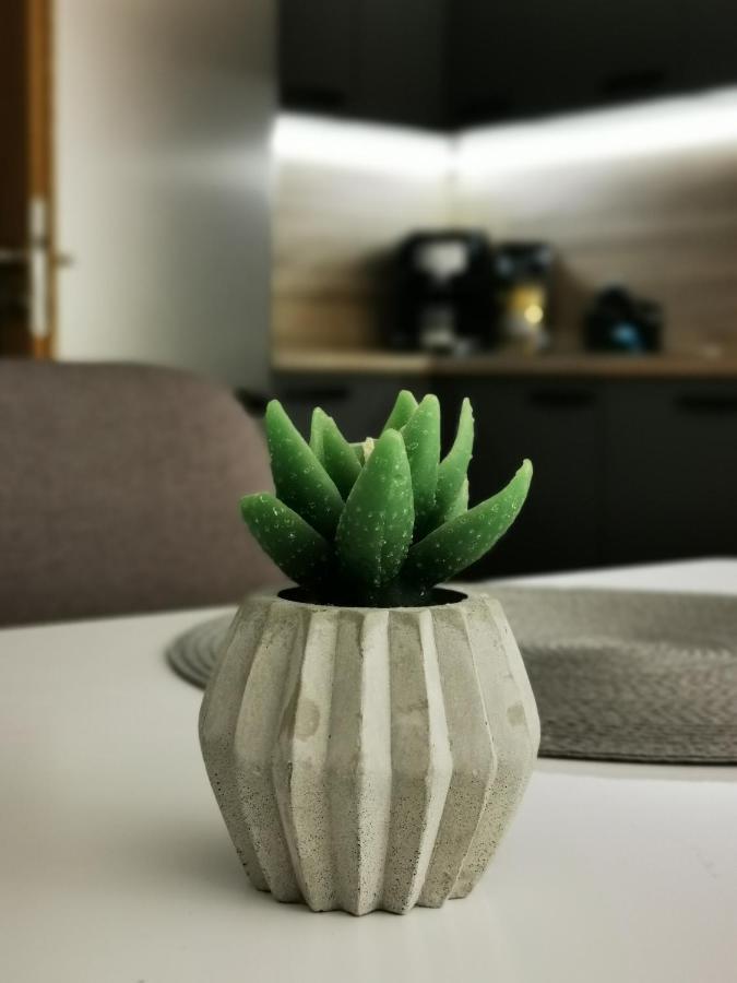 Apartman Mlynska Strouha Plzeň Extérieur photo